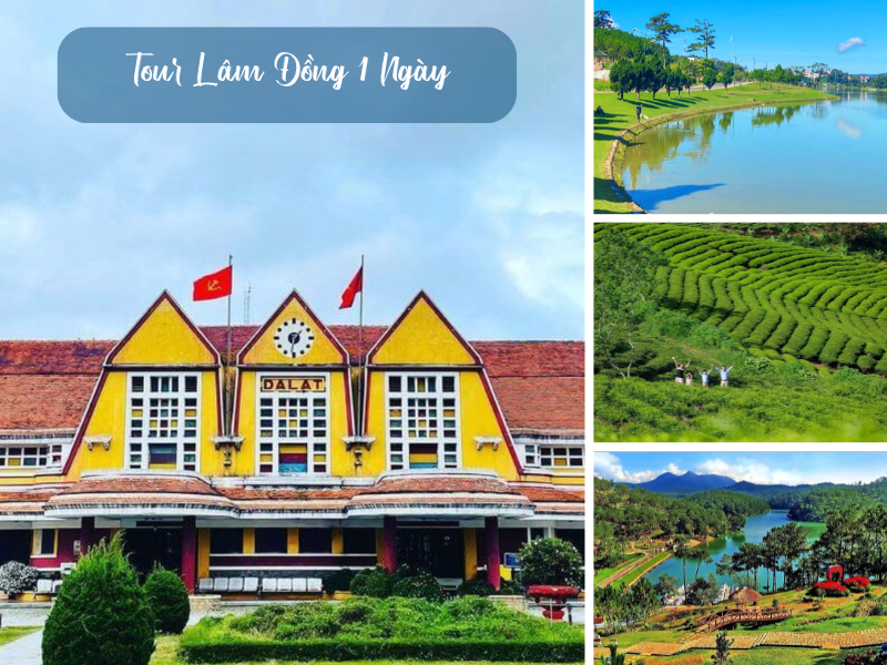 Tour Lâm Đồng 1 Ngày