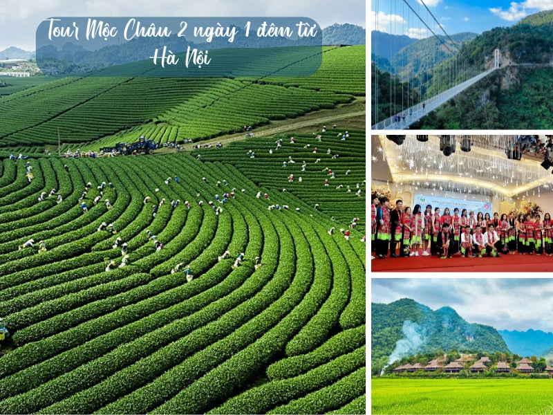Tour Mộc Châu 2 ngày 1 đêm từ Hà Nội