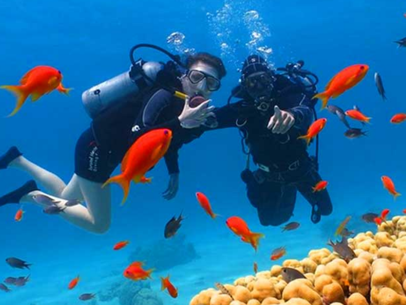 Tour Câu Cá & Lặn Ngắm San Hô Nha Trang
