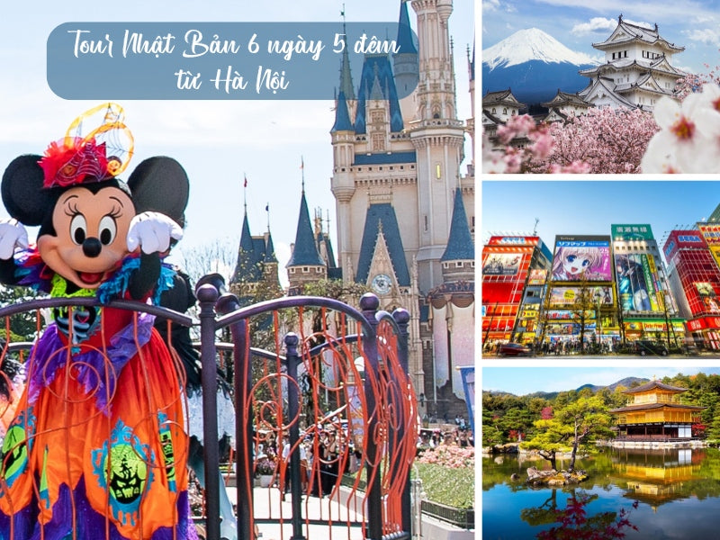 Tour Nhật Bản 6 ngày 5 đêm từ Hà Nội