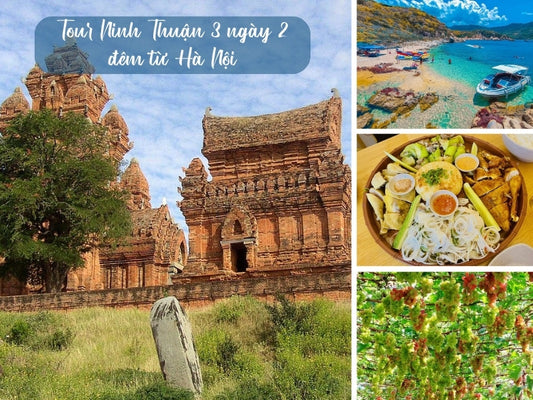 Tour Ninh Thuận 3 ngày 2 đêm từ Hà Nội