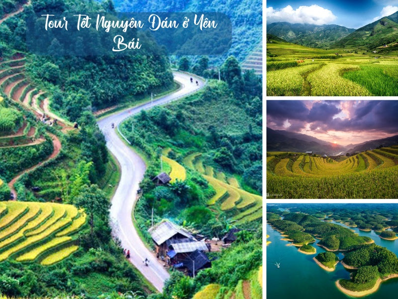 Tour Tết Nguyên Đán ở Yên Bái
