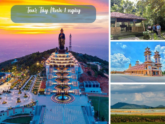 Tour Tây Ninh 1 ngày