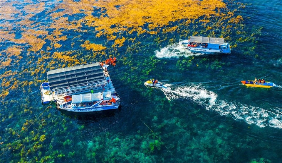 Tour Hòn Khô – Kỳ Co – Eo Gió 1 Ngày
