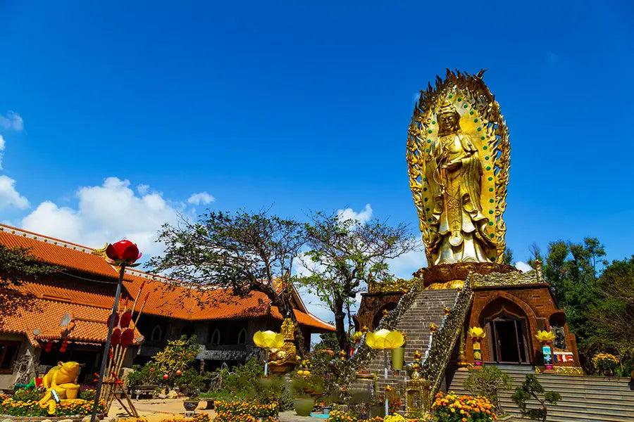 Tour Kỳ Co - Eo Gió - Tịnh xá Ngọc Hòa 1 Ngày