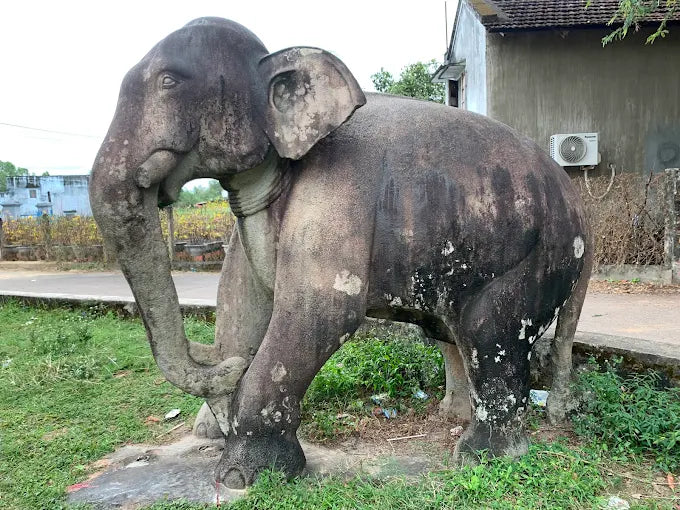 Tour Khám Phá Di Sản Chămpa 1 Ngày