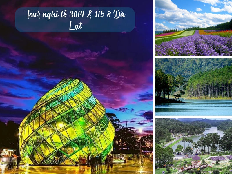 Tour nghỉ lễ 30/4 & 1/5 ở Đà Lạt