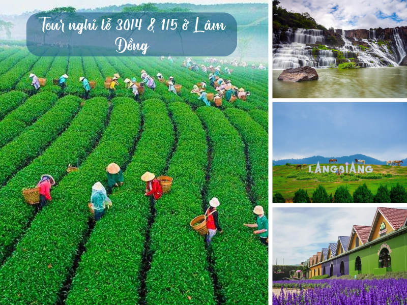 Tour nghỉ lễ 30/4 & 1/5 ở Lâm Đồng