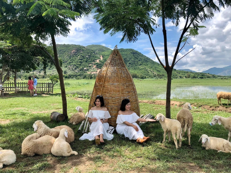 Tour Hang Rái Vĩnh Hy 1 Ngày Từ Nha Trang