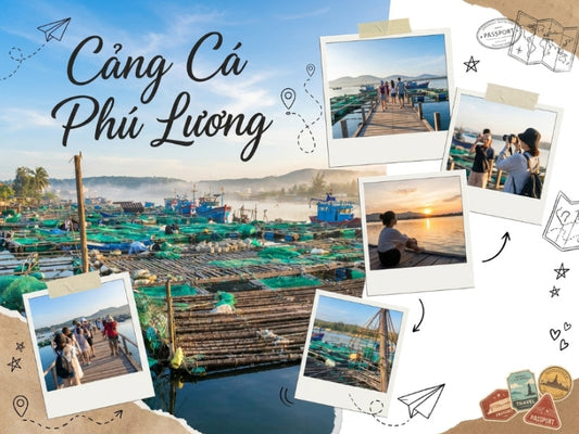 Cảng Cá Phú Lương Phú Yên