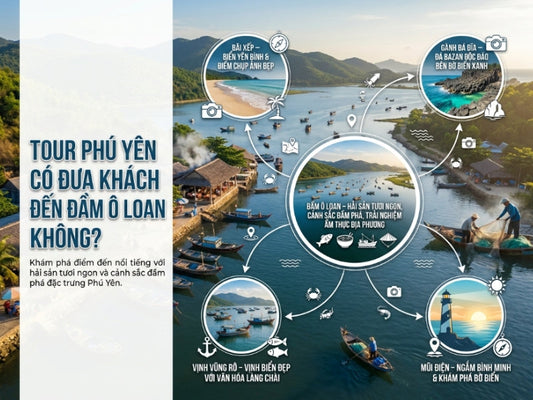 Tour Phú Yên có đưa khách đến Đầm Ô Loan không?