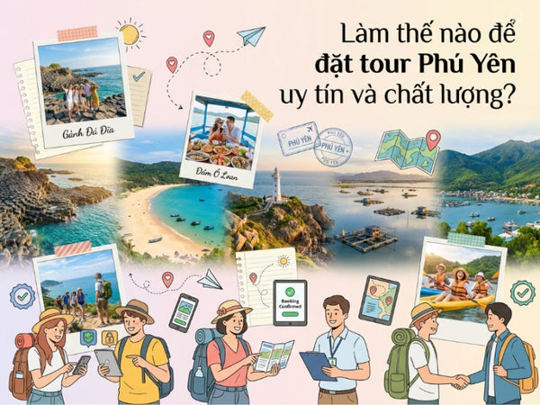 Làm thế nào để đặt tour Phú Yên uy tín và chất lượng?