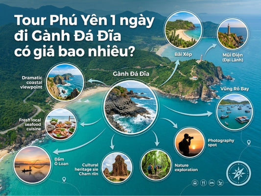 Tour Phú Yên 1 ngày đi Gành Đá Đĩa có giá bao nhiêu?