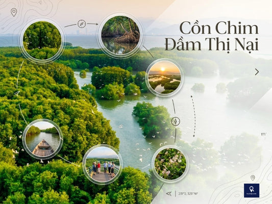 Cồn Chim Đầm Thị Nại Tuy Phước