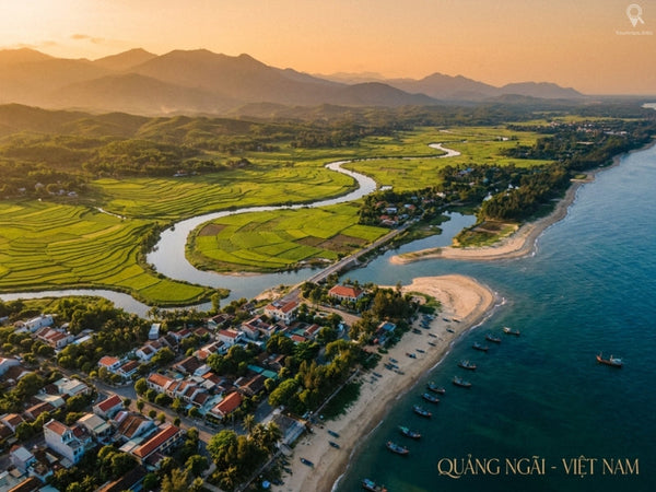 Kinh Nghiệm Du Lịch Quảng Ngãi Ăn Gì, Chơi Gì?
