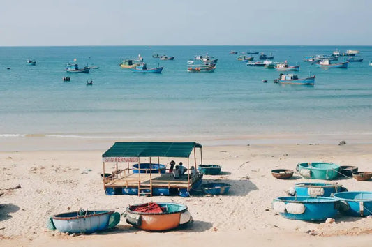 1 Ngày Ở Quy Nhơn Có Thể Tham Quan Được Tối Đa Bao Nhiêu Điểm Du Lịch Chính Mà Không Bị Gấp?