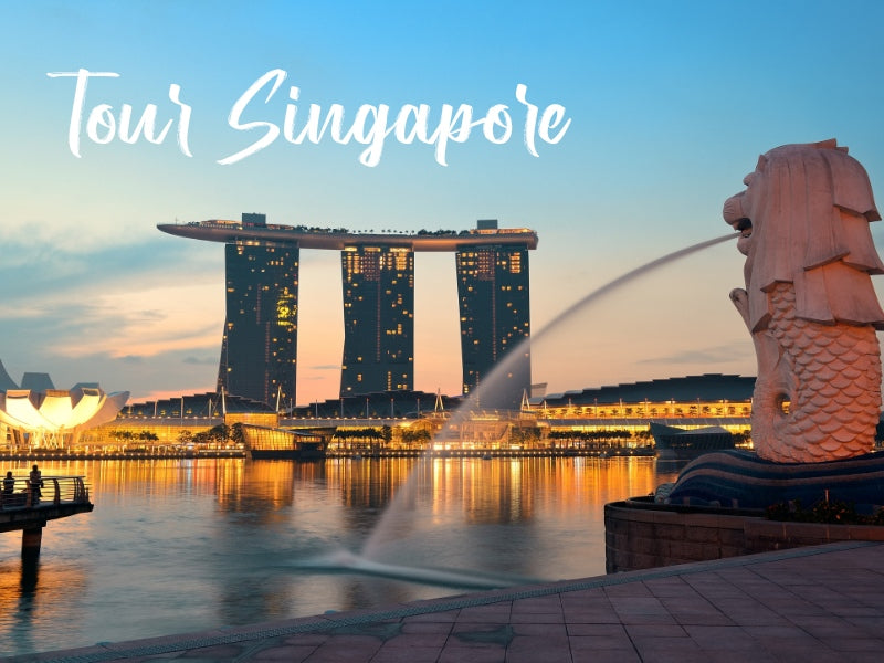 Tour Singapore