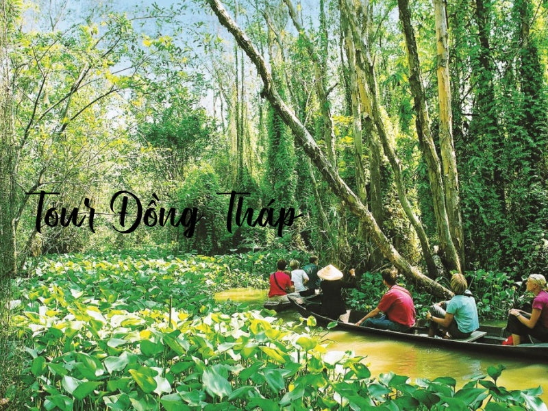 Tour Đồng Tháp