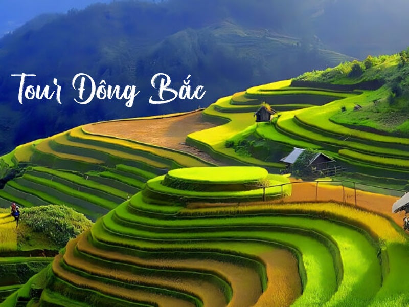 Tour Đông Bắc