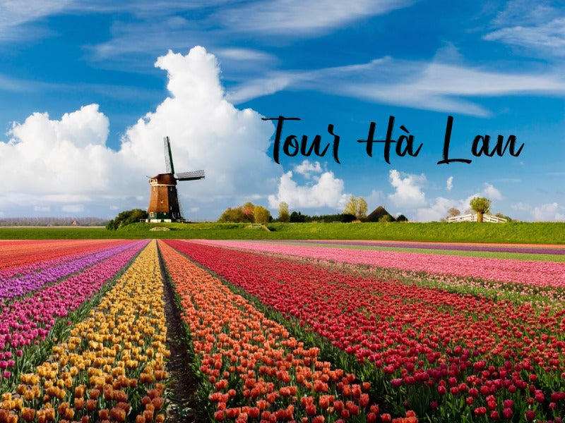 Tour Hà Lan