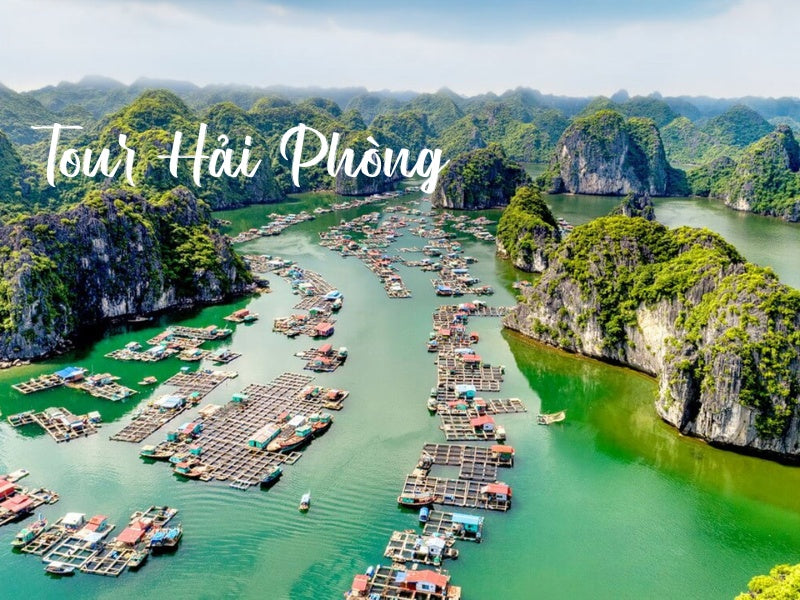 Tour Hải Phòng