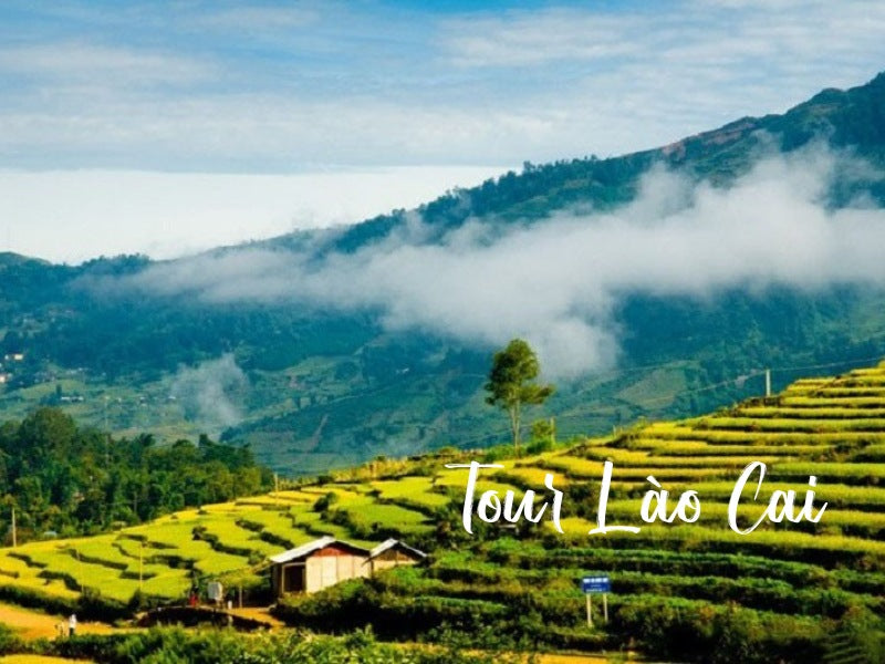Tour Lào cai