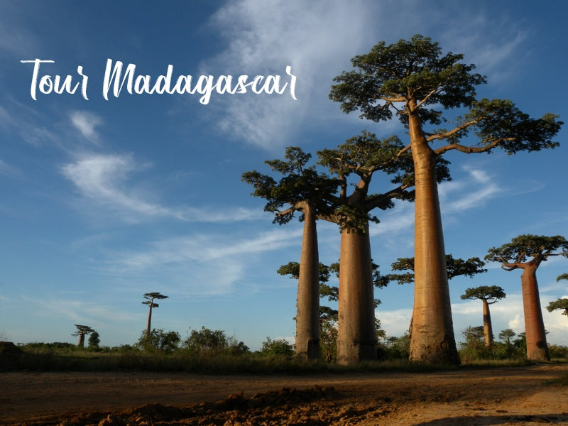 Tour Madagascar