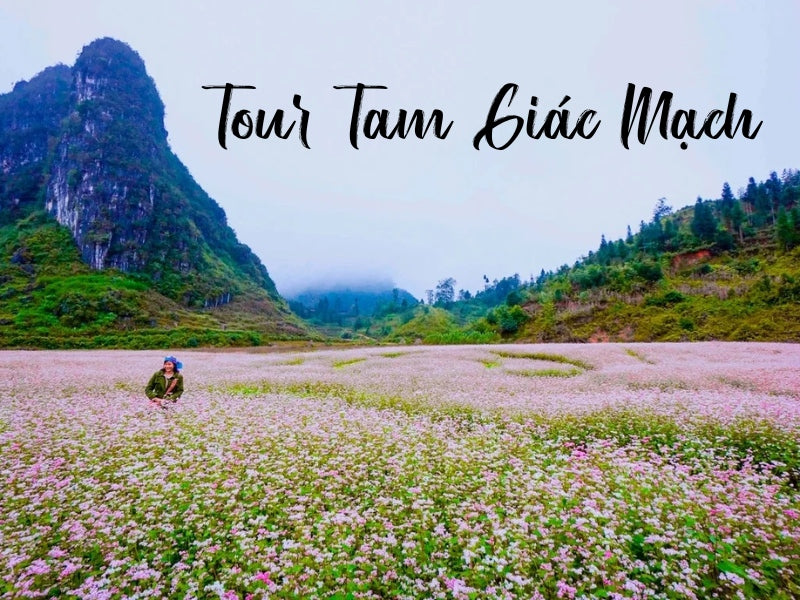 Tour Tam Giac Mach