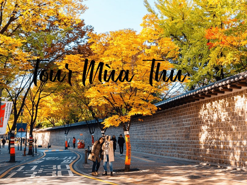 Tour Mùa Thu