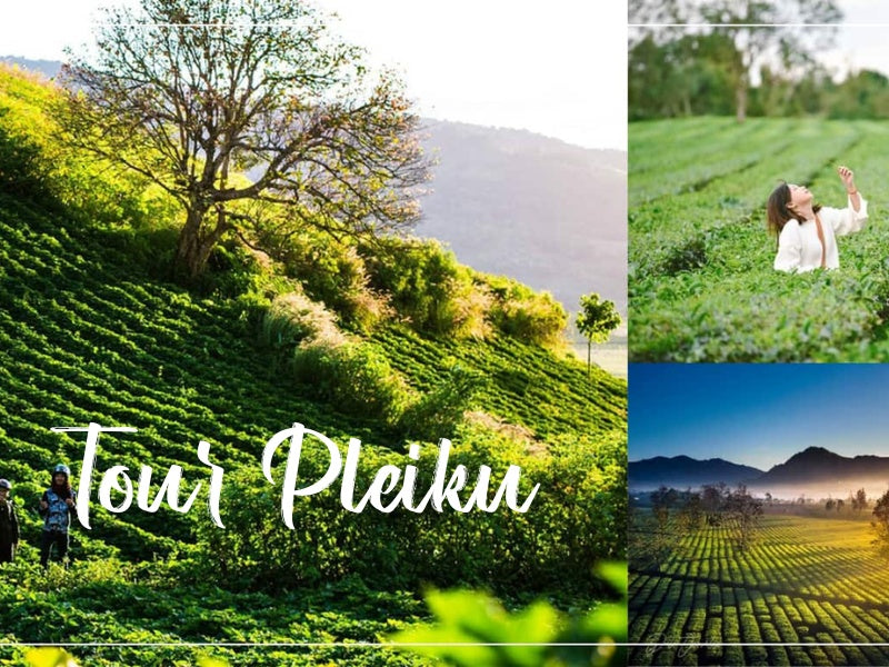 Tour Pleiku