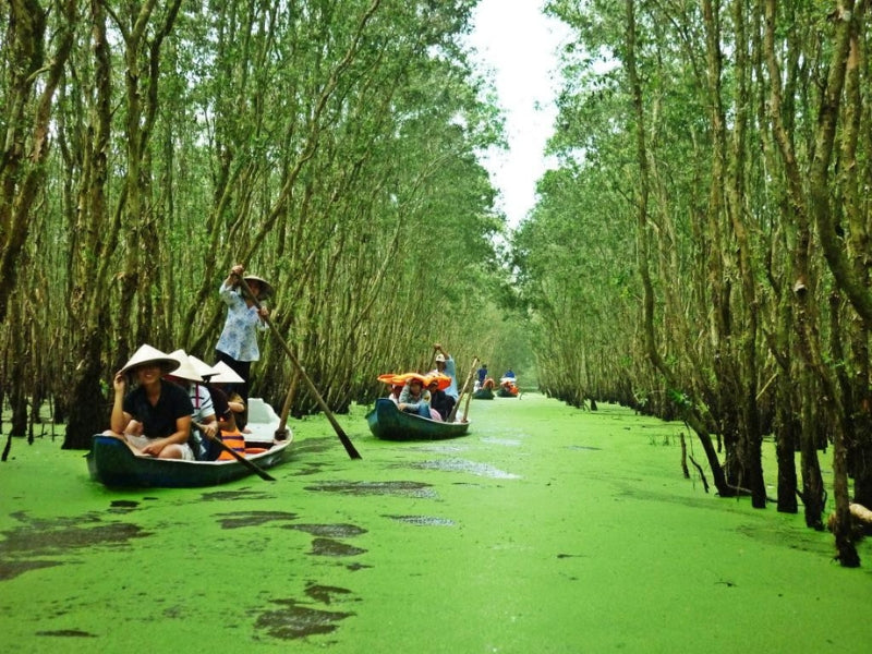 Tour Tiền Giang