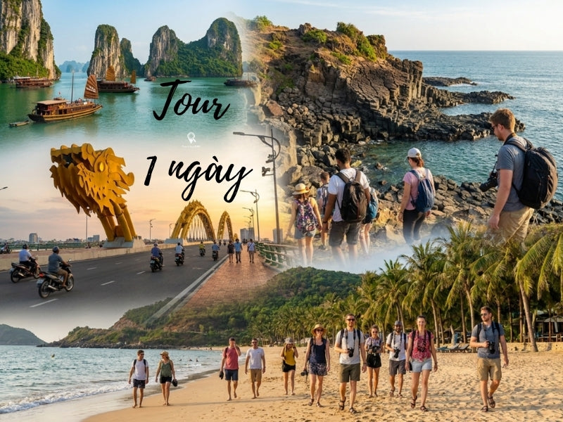 Tour 1 ngày