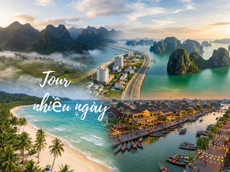 Tour Nhiều Ngày