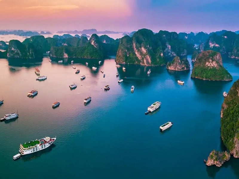 Tour Hạ Long