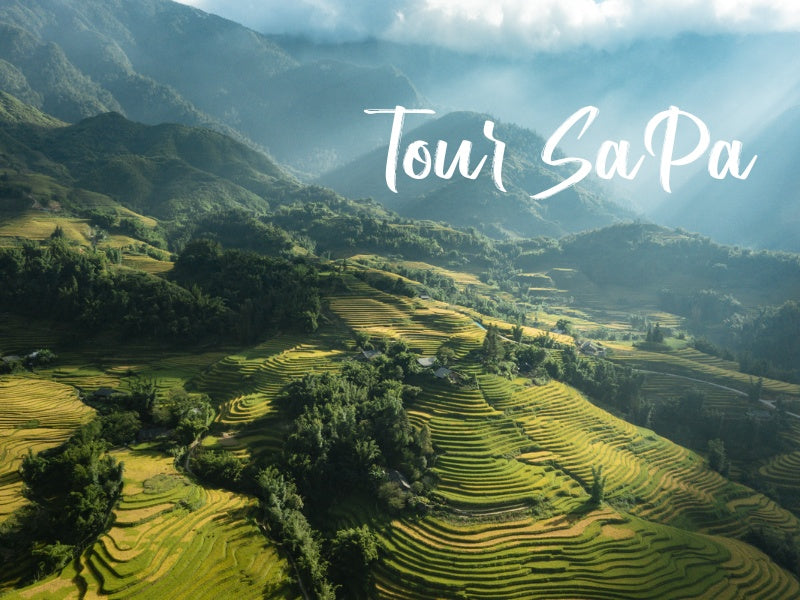 Tour Sapa
