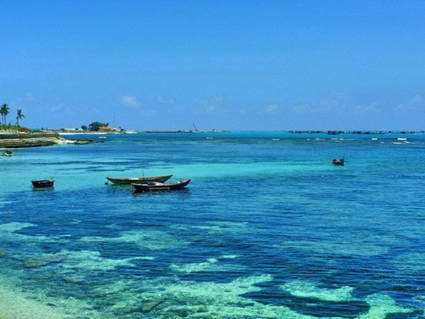 Tour Quảng Ngãi 5 Ngày 4 Đêm