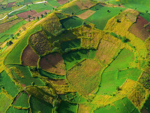 Tour nghỉ lễ 30/4 & 1/5 ở Gia Lai