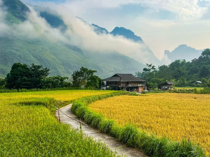 Tour Tết Nguyên Đán 2025 ở Hà Giang