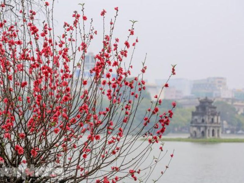 Tour Tết Dương Lịch 2025 ở Hà Nội