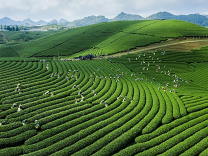 Tour Mai Châu 4 ngày 3 đêm