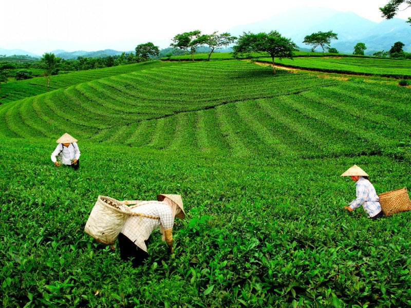 Tour Lạng Sơn 5 ngày 4 đêm