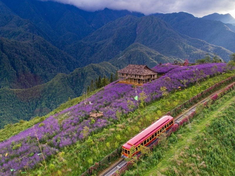 Tour Ninh Bình 6 ngày 5 đêm từ Cần Thơ