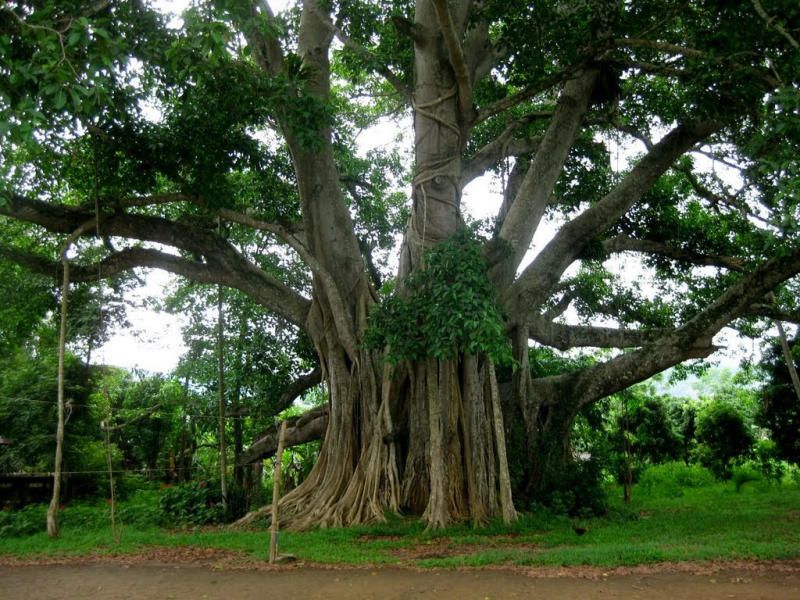 Tour nghỉ lễ 30/4 & 1/5 ở Tuyên Quang