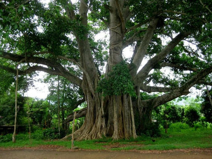 Tour nghỉ lễ 30/4 & 1/5 ở Tuyên Quang