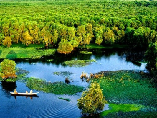 Tour Đồng Tháp 1 ngày