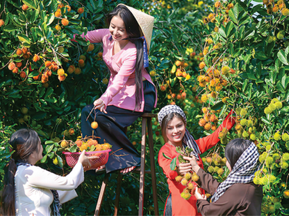 Tour Cần Thơ 5 Ngày 4 Đêm