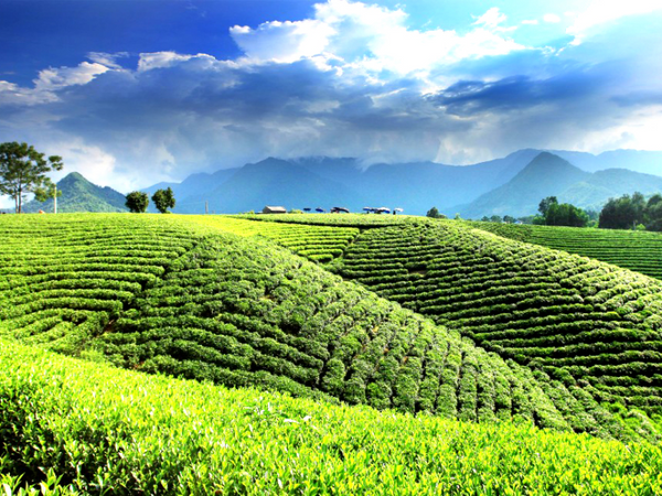 Tour Thái Nguyên 1 ngày từ Hà Nội