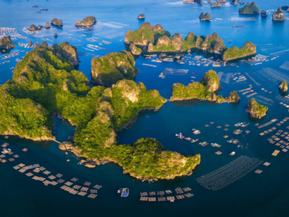 Tour Quảng Ngãi 2 Ngày 3 Đêm Từ TP.HCM