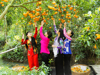 Tour Bến Tre 1 ngày từ TP.HCM