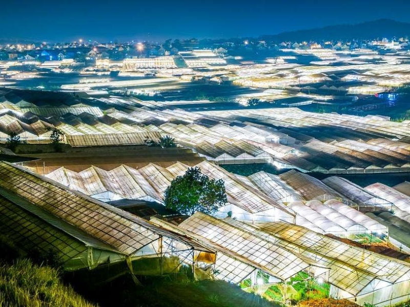 Tour Đà Lạt 5 ngày 4 đêm